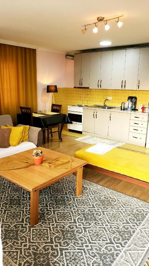 Spacious Downtown Apartment With A City View 普里什蒂纳 外观 照片
