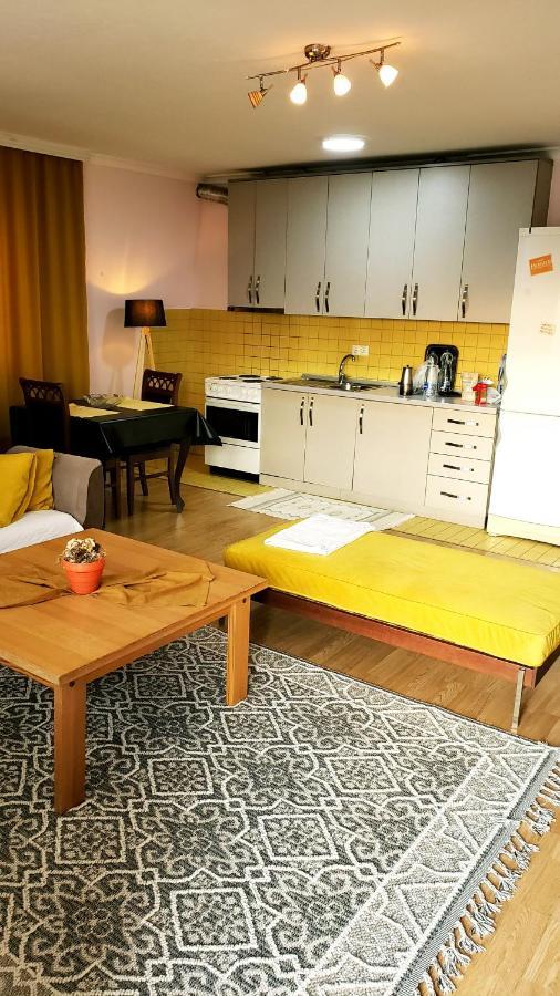 Spacious Downtown Apartment With A City View 普里什蒂纳 外观 照片