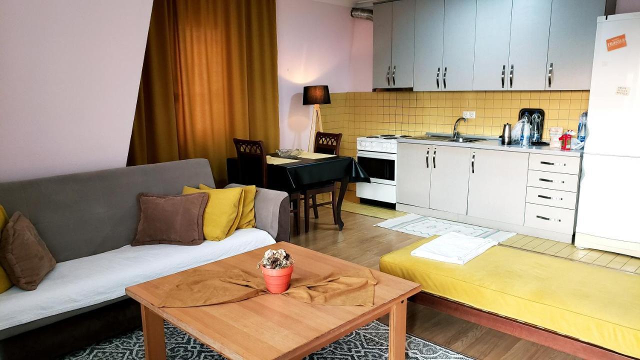 Spacious Downtown Apartment With A City View 普里什蒂纳 外观 照片